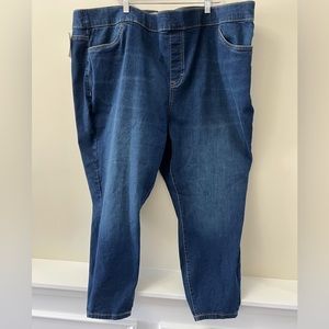 🆕 size 28W  Jegging Jeans 👖 stretchy mid Rise elastic waistband Sonoma